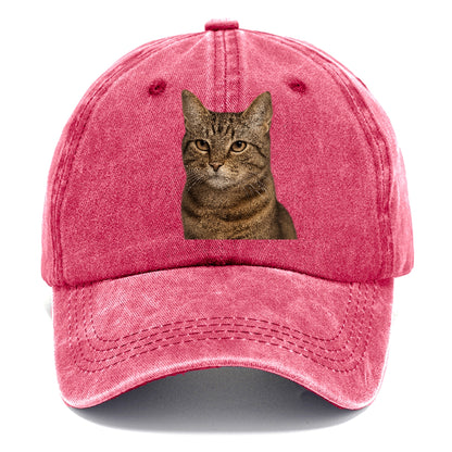 content-cat-peaceful-purr Hat