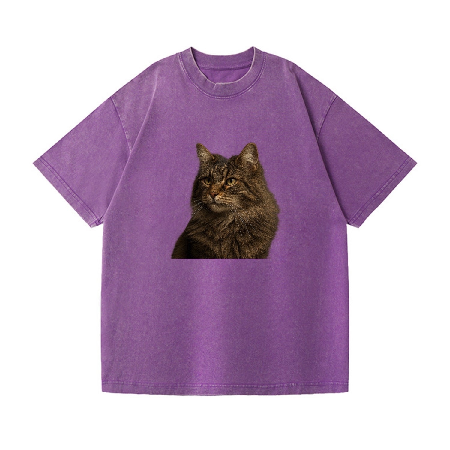 norwegian-forest-cat-wild-majesty Hat