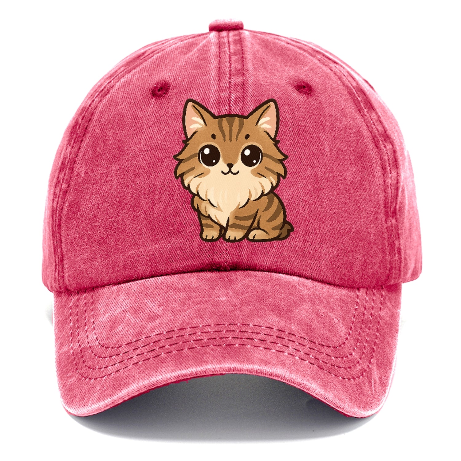 maine-coon-gentle-giant Hat