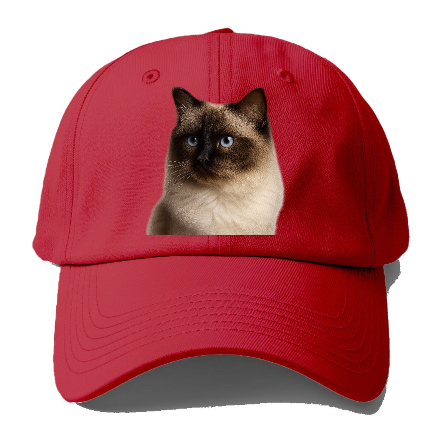 ragdoll-gentle-demeanor Hat