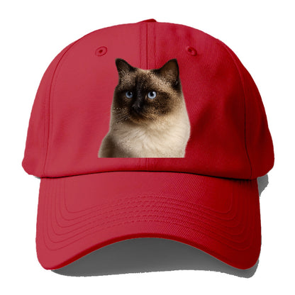 ragdoll-gentle-demeanor Hat