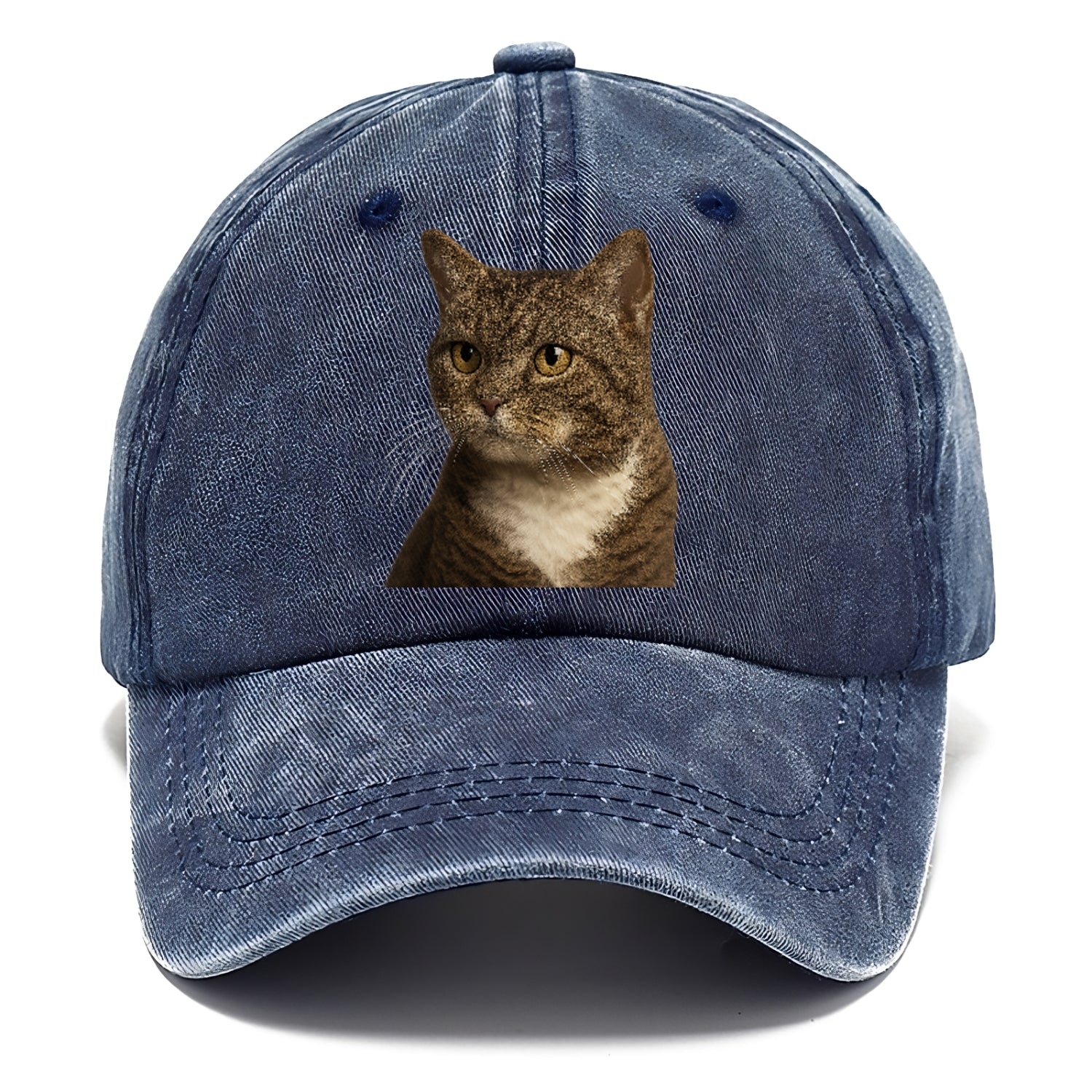 american-wirehair-unique-charm Hat