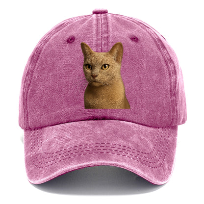 fawn-cat-playful-charm Hat