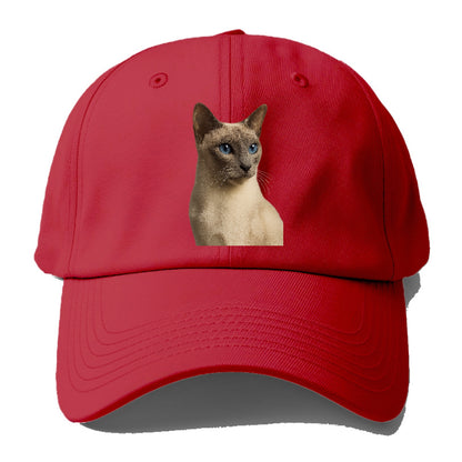 lilac-point-siamese-elegant-mystique Hat