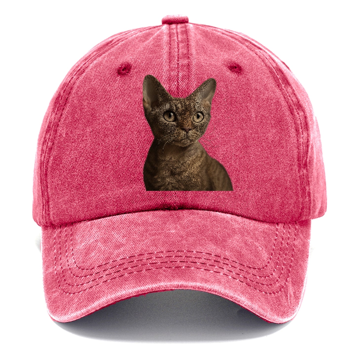 devon-rex-playful-spirit Hat