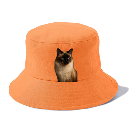 birman-gentle-charm Hat