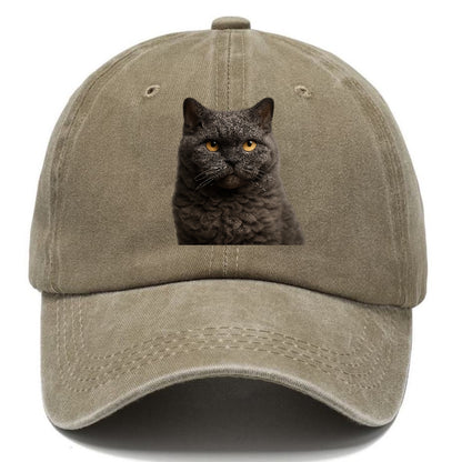 selkirk-rex-curly-charm Hat