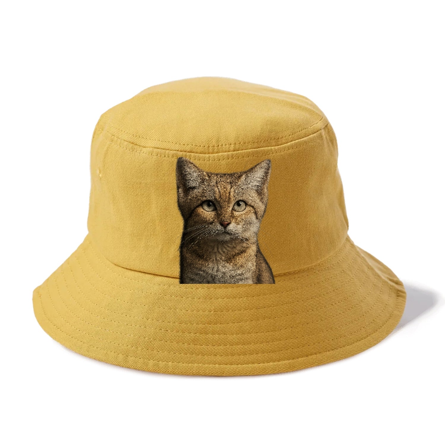sand-cat-desert-spirit Hat