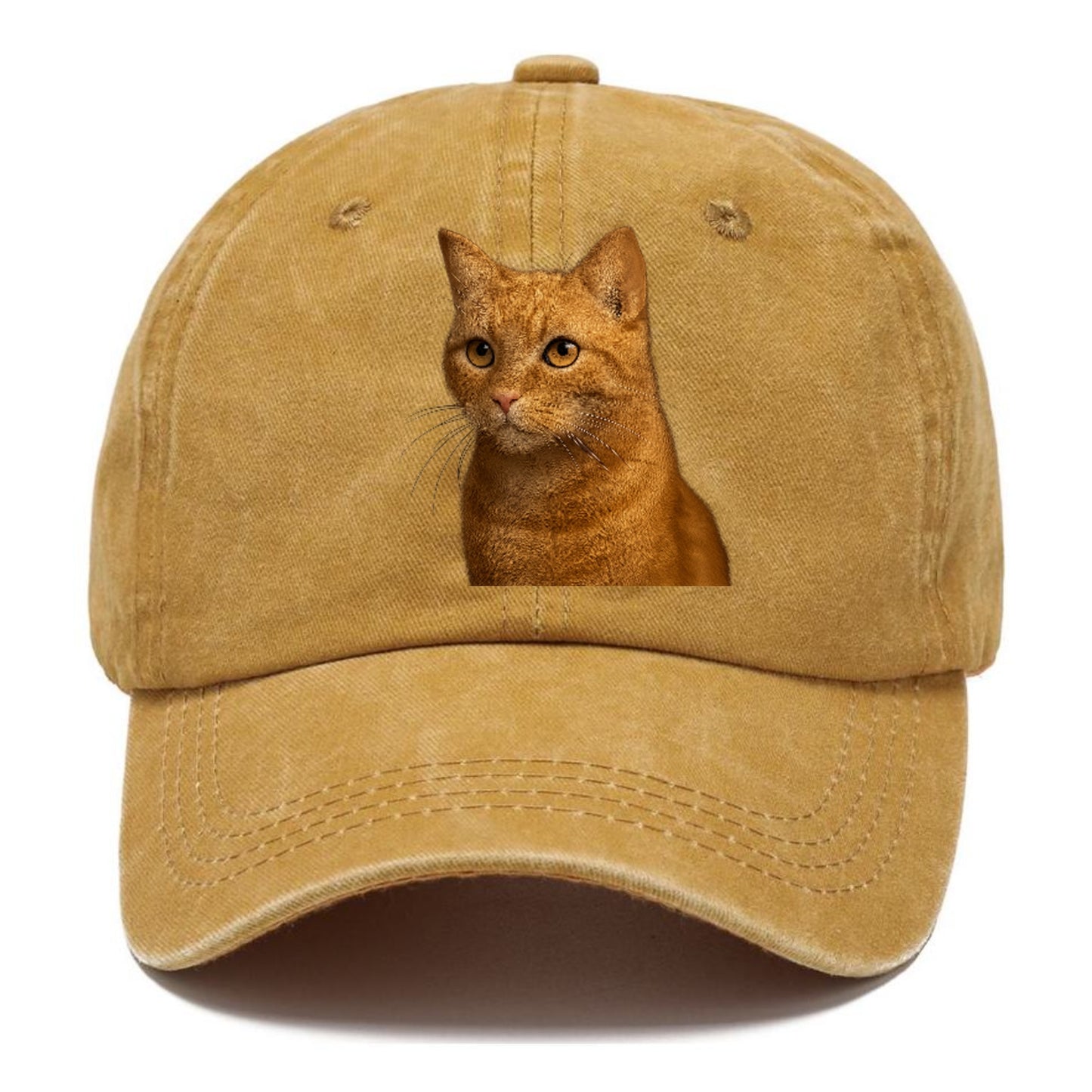 ginger-cat-playful-spirit Hat