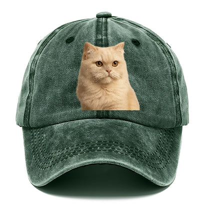 cream-persian-fluffy-elegance Hat