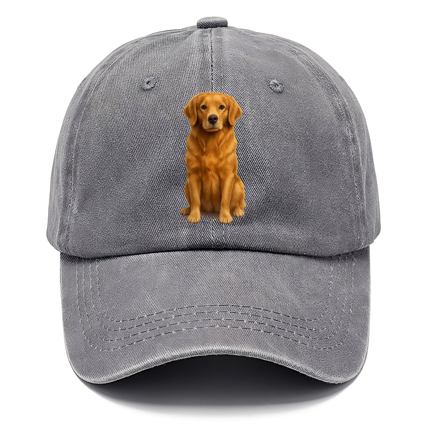 golden retriever portrait on brown background Hat