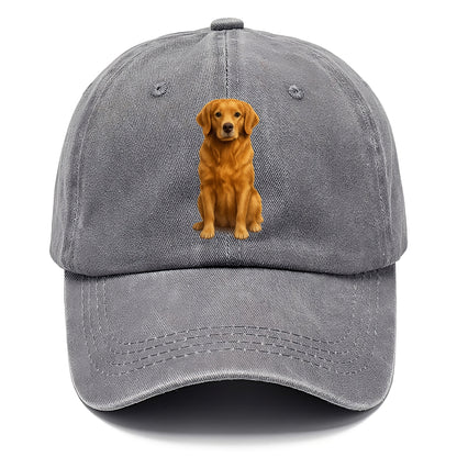 golden retriever portrait on brown background Hat