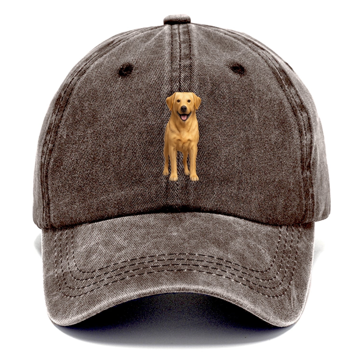 happy golden labrador retriever portrait Hat