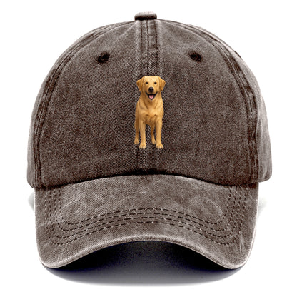 happy golden labrador retriever portrait Hat