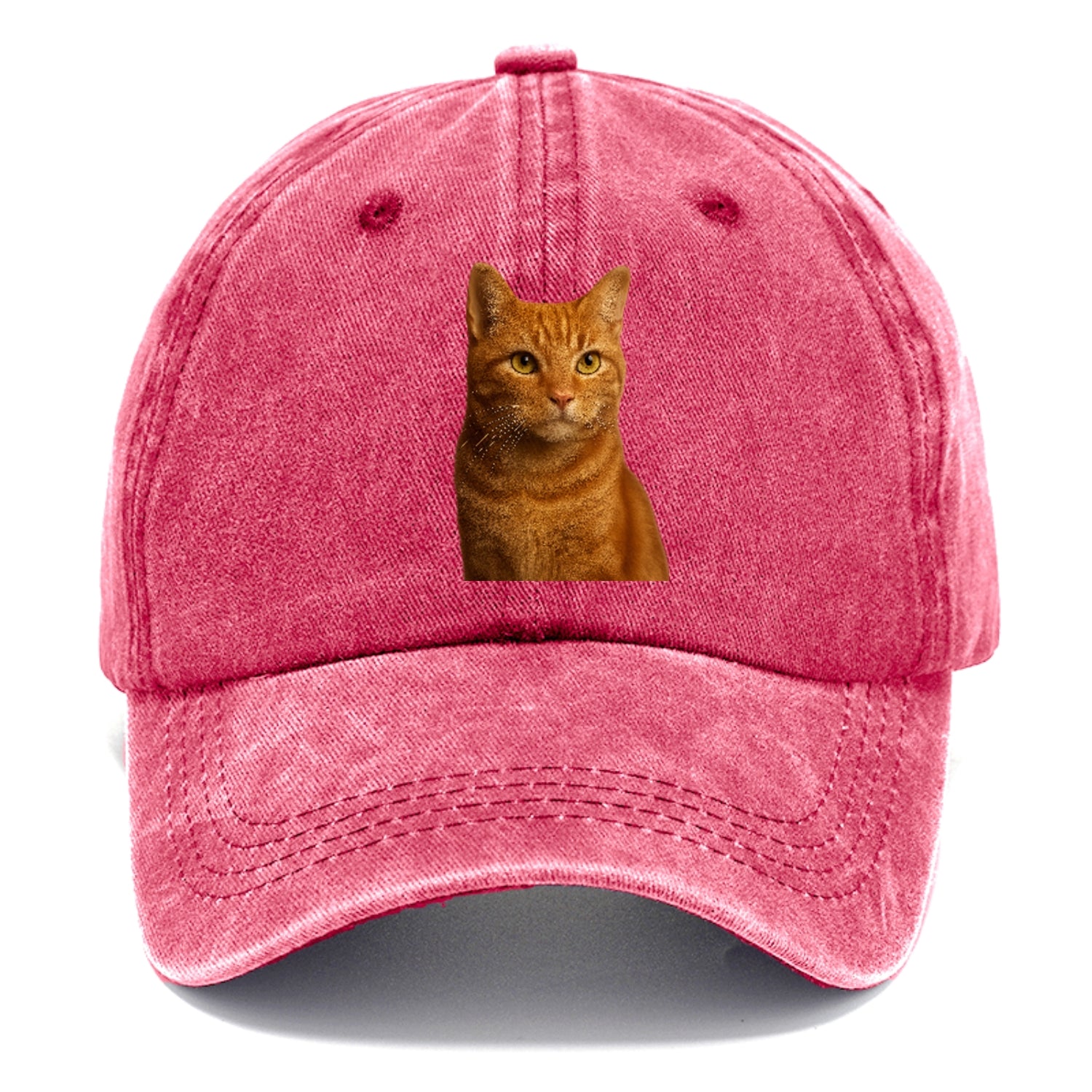 orange-tabby-cozy-companion Hat