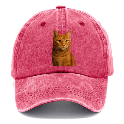 orange-tabby-cozy-companion Hat