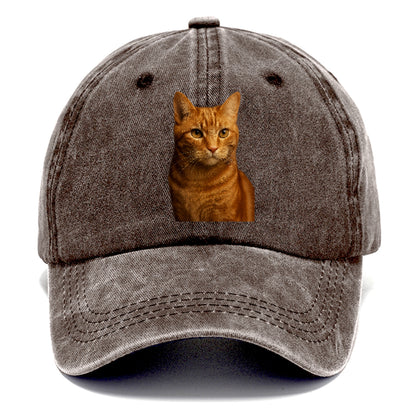 orange-tabby-playful-purr Hat