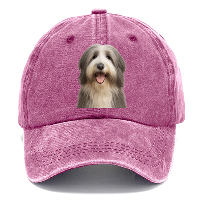 bearded collie: whimsical wanderer Hat