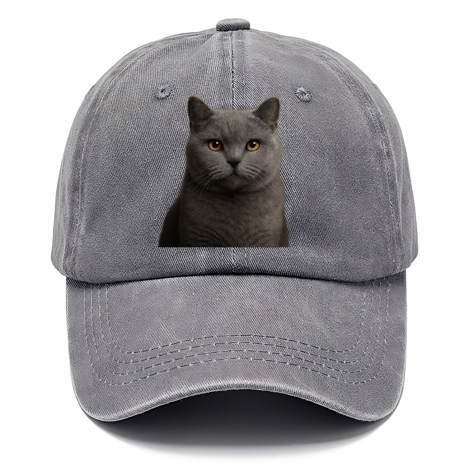 british shorthair dignified charm Hat