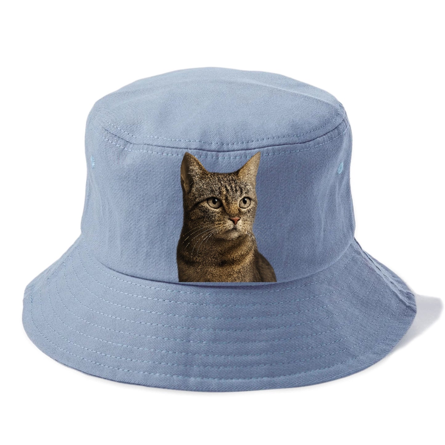 stray-cat-resilient-spirit Hat