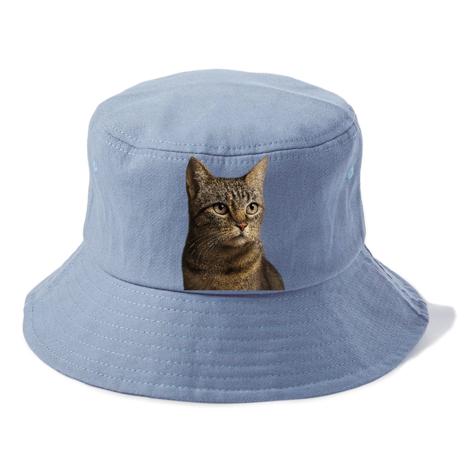 stray-cat-resilient-spirit Hat