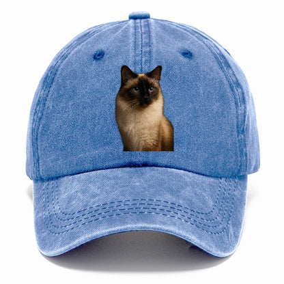 birman-gentle-charm Hat