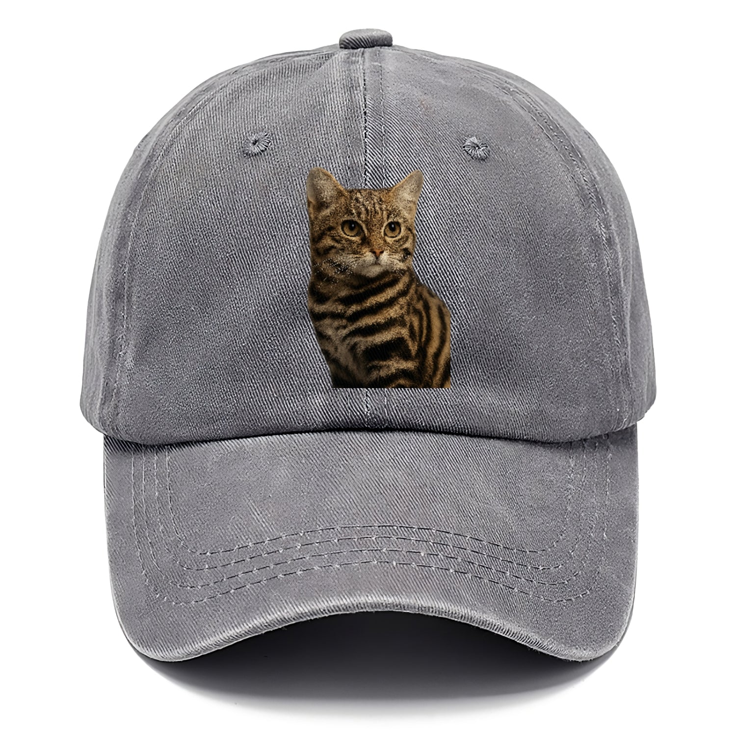 blackfooted-cat-elusive-hunter Hat