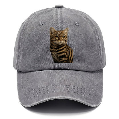 blackfooted-cat-elusive-hunter Hat