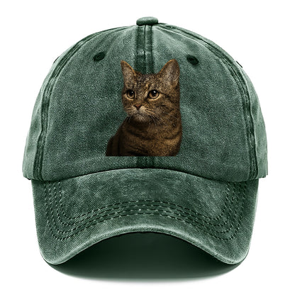munchkin-cat-charming-spirit Hat