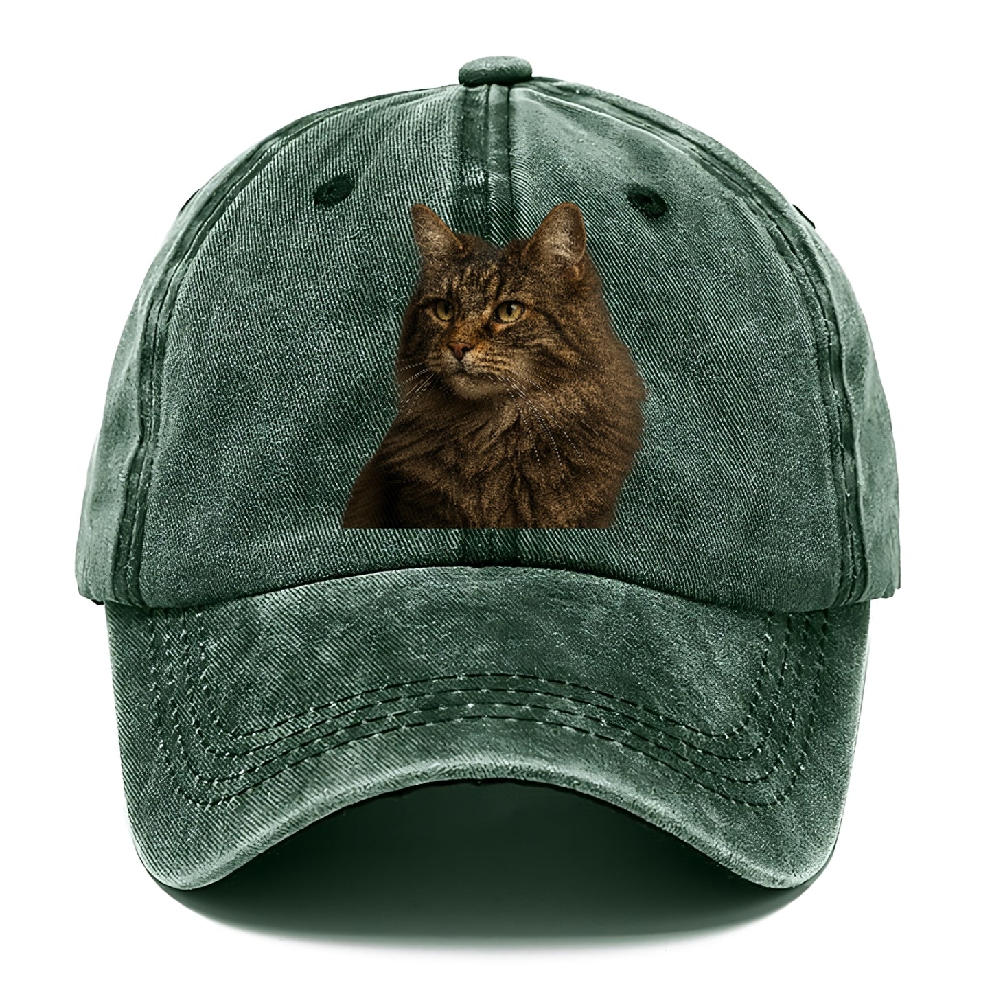 norwegian-forest-cat-wild-majesty Hat