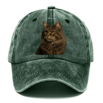norwegian-forest-cat-wild-majesty Hat