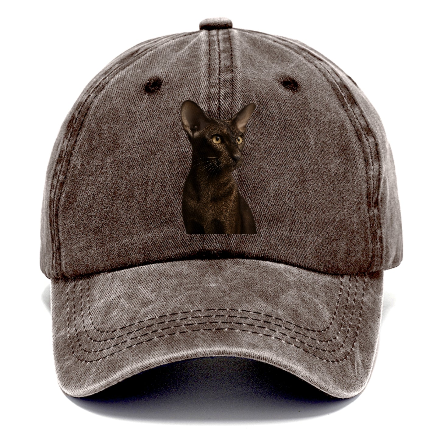 oriental-shorthair-sleek-chic Hat