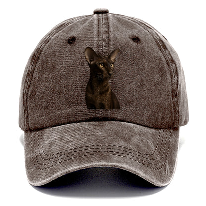 oriental-shorthair-sleek-chic Hat
