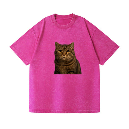 manx-cat-distinct-charm Hat