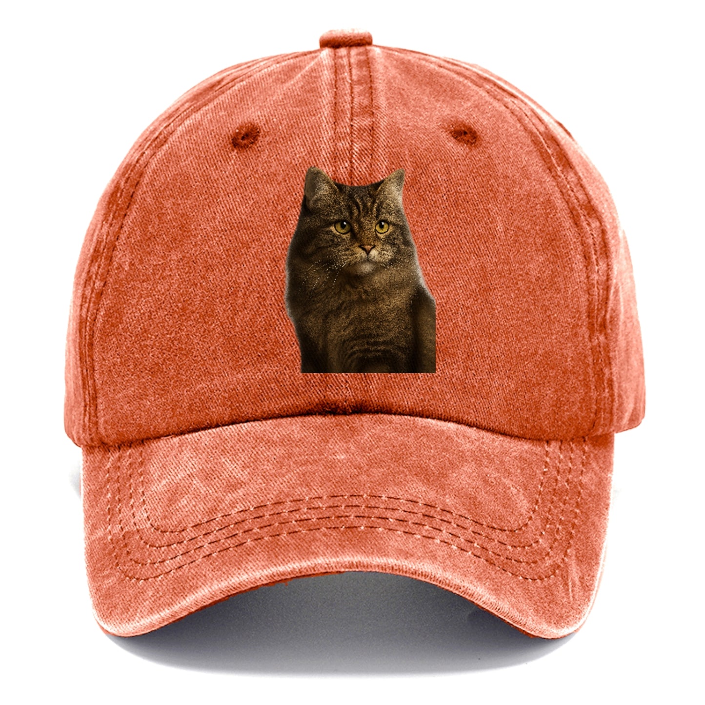 cymric-playful-spirit Hat