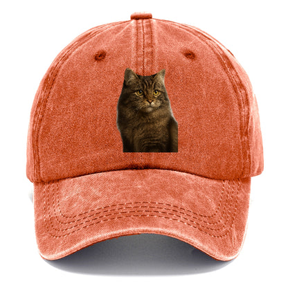 cymric-playful-spirit Hat