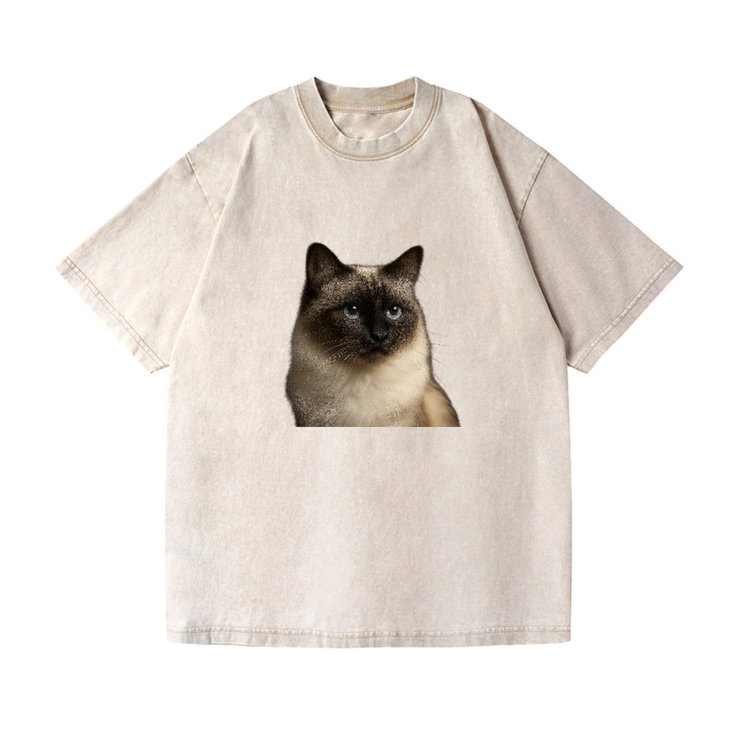 birman-cat-serene-elegance Hat