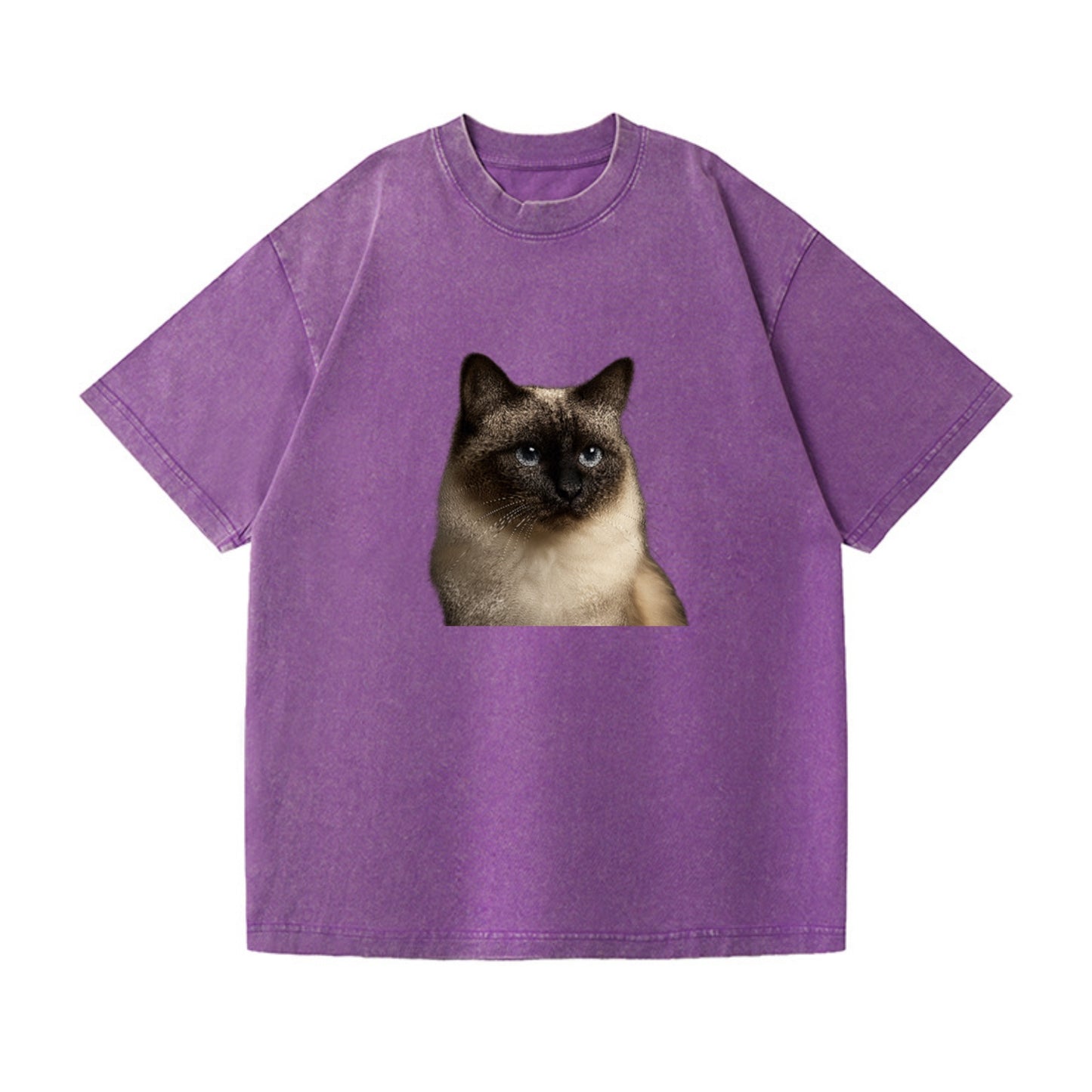 birman-cat-serene-elegance Hat