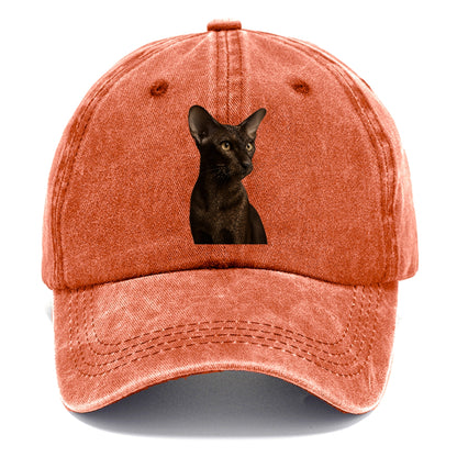 oriental-shorthair-sleek-chic Hat