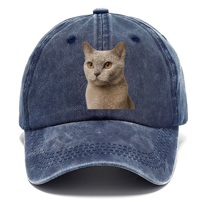 lilac-cat-playful-spirit Hat