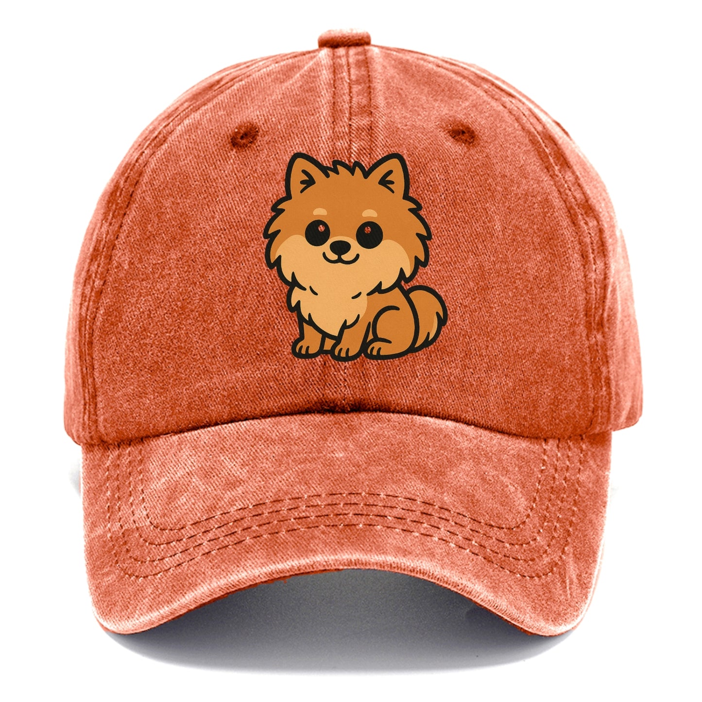 pomeranian orange fluffy sitting pose portrait design Hat