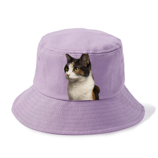 japanese-bobtail-playful-spirit Hat