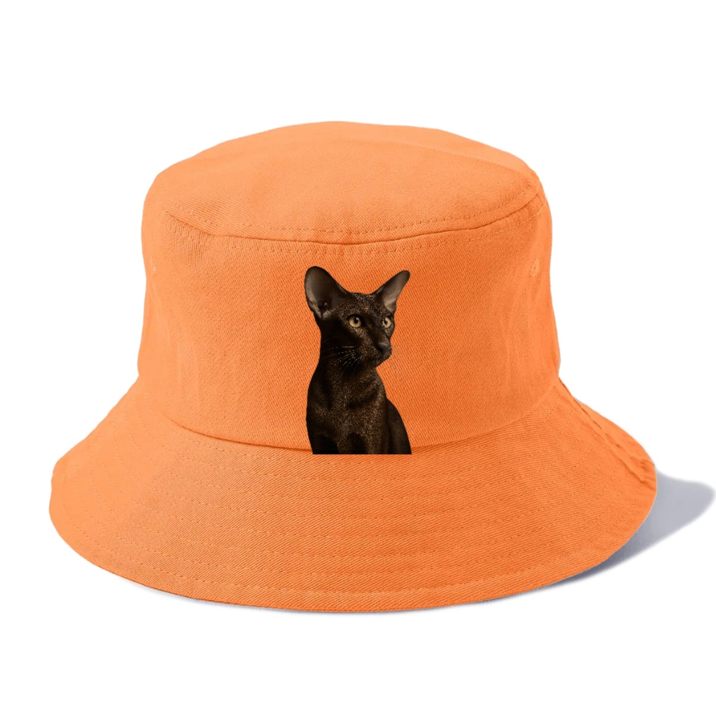 oriental-shorthair-sleek-chic Hat