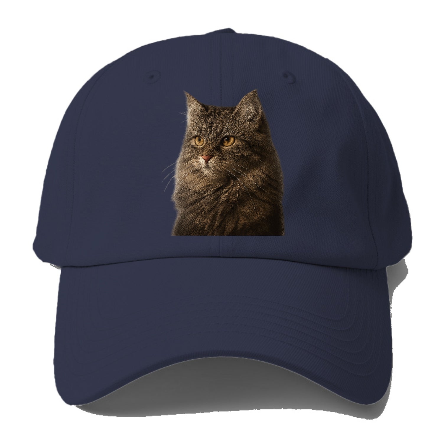 domestic-longhair-graceful-charm Hat