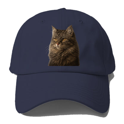 domestic-longhair-graceful-charm Hat