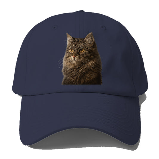 domestic-longhair-graceful-charm Hat