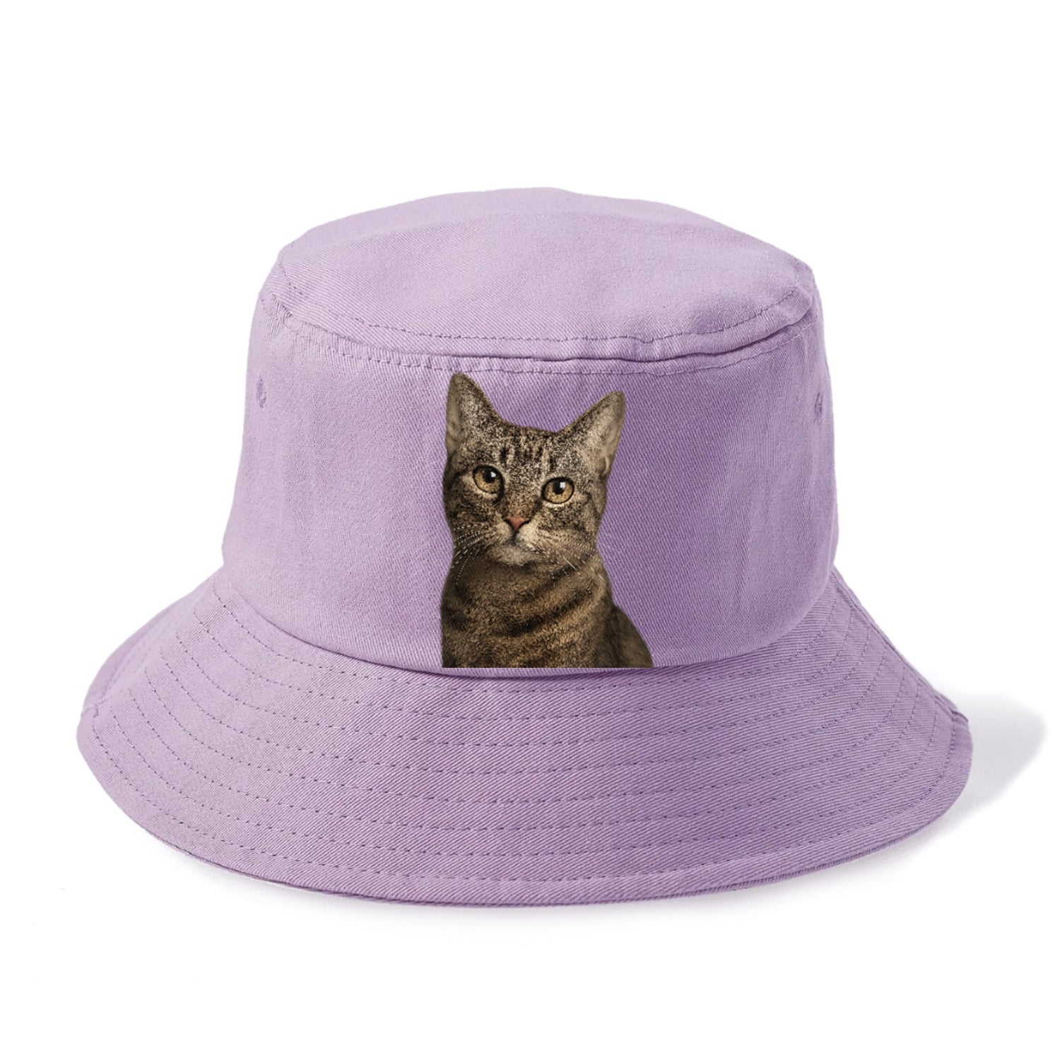 curious-cat-inquisitive-nature Hat