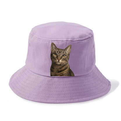 curious-cat-inquisitive-nature Hat