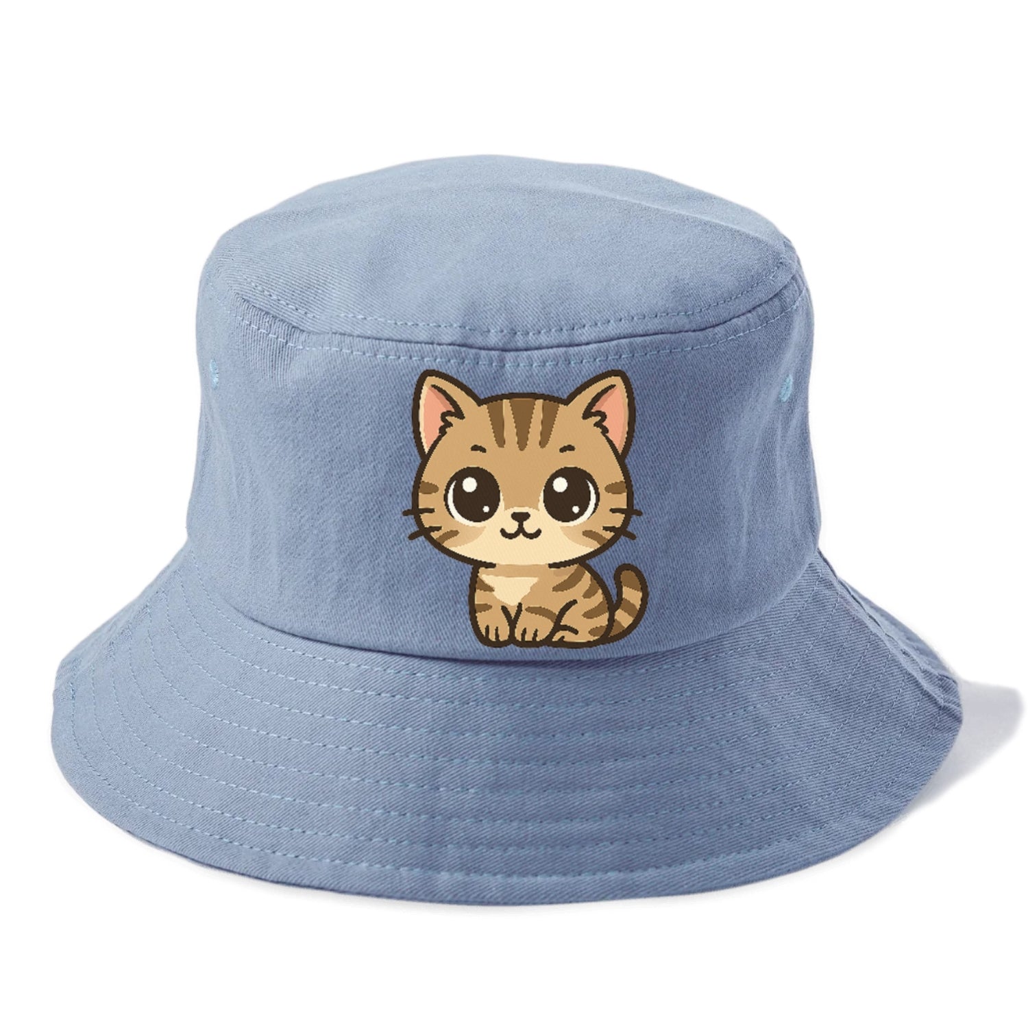 tabby-mix-playful-spirit Hat