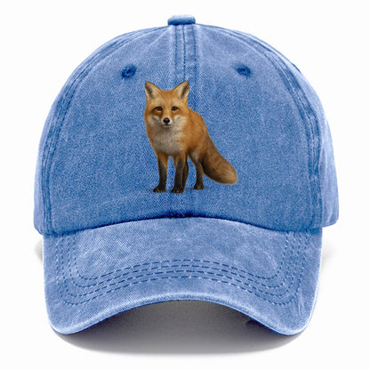 portrait of a red fox Hat